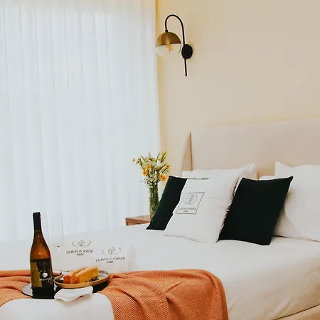 Quinta D'joanes Douro Çiftlik konaklama *