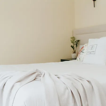 Çiftlik konaklama Quinta D'joanes Douro Resende