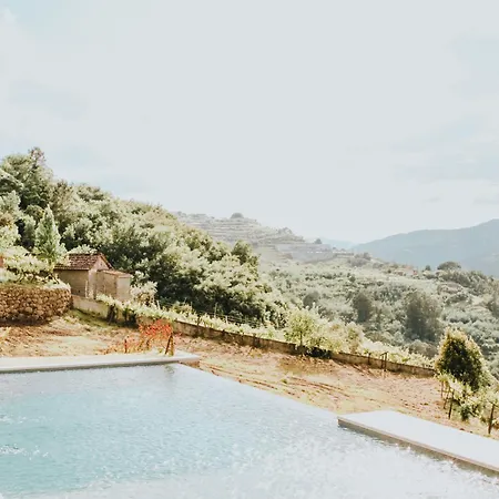 Quinta D'joanes Douro