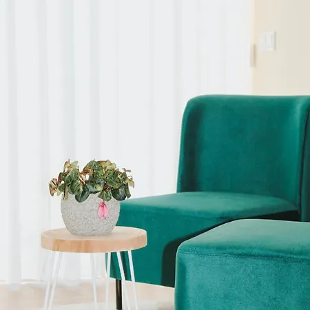 Quinta D'joanes Douro Çiftlik konaklama Resende